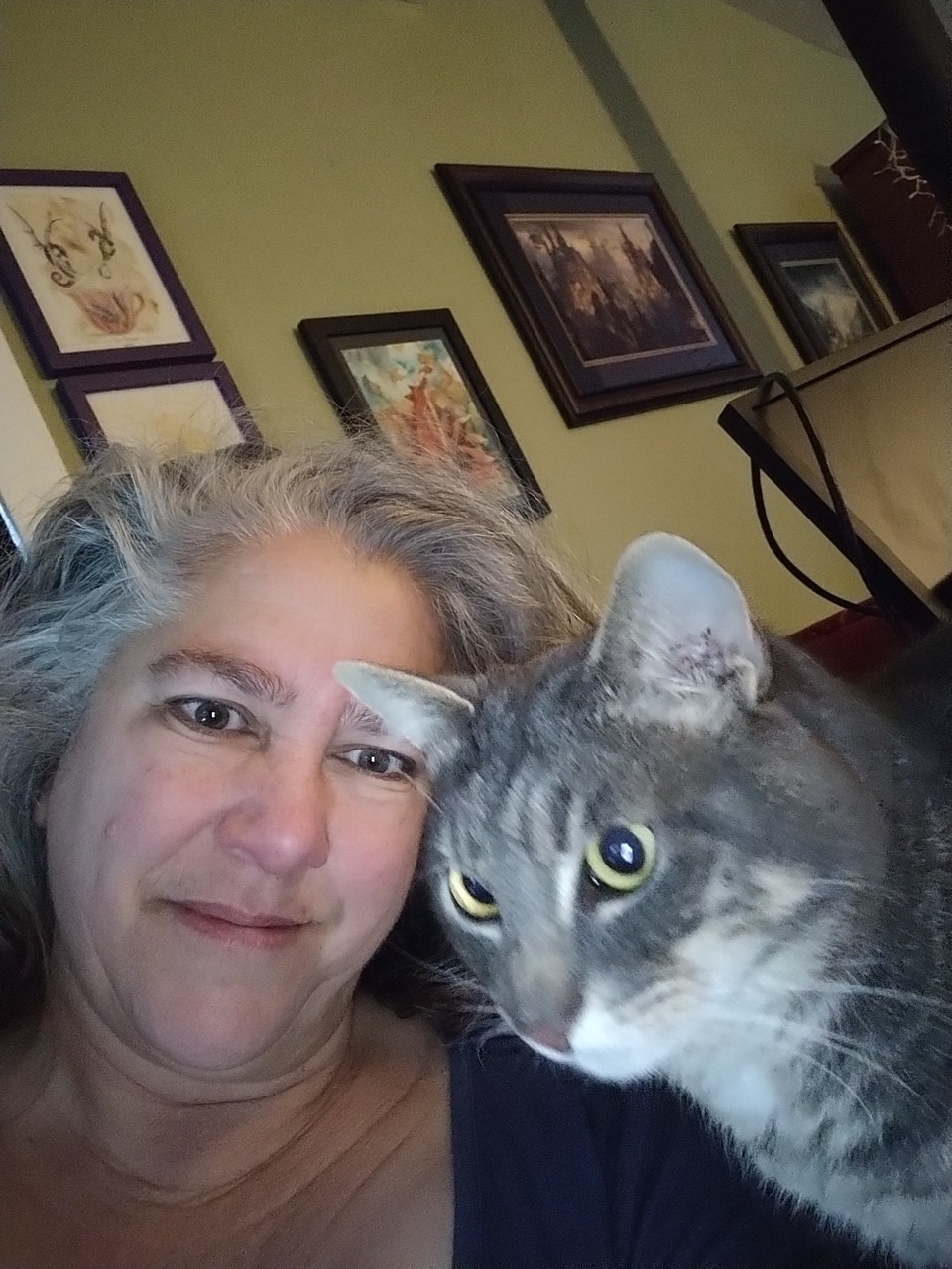 Tabby L. Rose photo