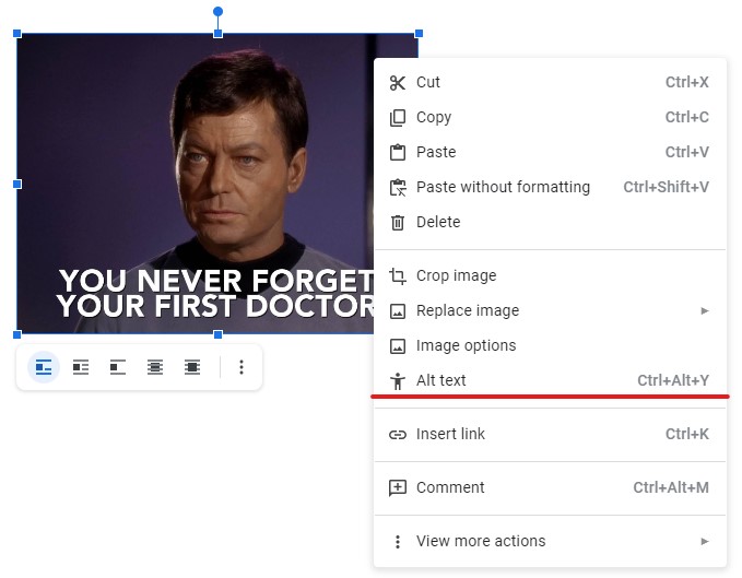 A Google Docs document with a selected image. The contextual menu is open and the Alt text item is marked with a red line.