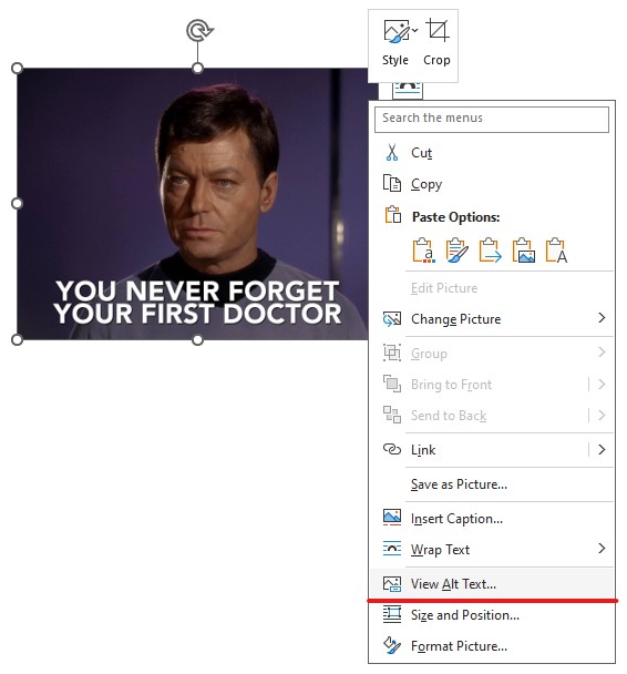 A Word document with a selected image. The contextual menu is open and the View Alt Text item is marked.