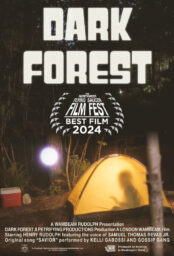 Dark Forest poster Poster for Dark Forest, with a tent in the woods, lit from within and showing a person's shadow, as a glowing orb hovers outside the tent.