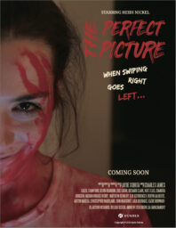 The Perfect Picture poster Poster for The Perfect Picture with a young woman smiling wickedly with blood smeared across her face.