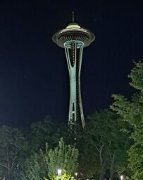 The Space Needle at night, rising above trees lit from below